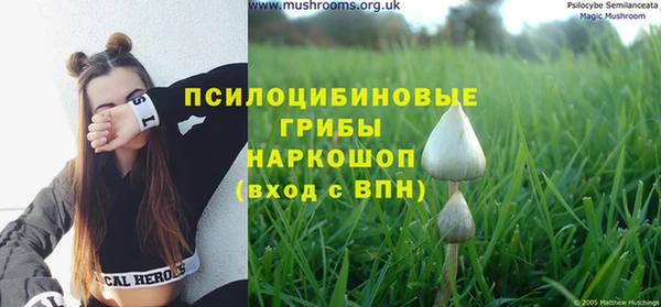 гидропоника Касимов