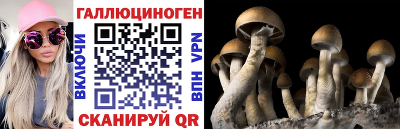 дарк нет телеграм MEGA ССЫЛКА Бердск купить наркоту Галлюциногенные грибы мухоморы